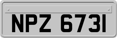 NPZ6731