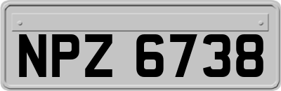 NPZ6738
