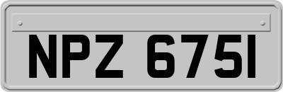 NPZ6751