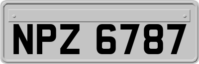 NPZ6787