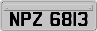 NPZ6813