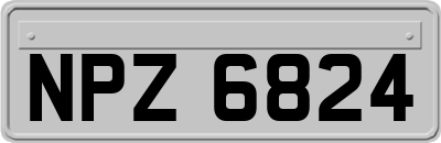 NPZ6824