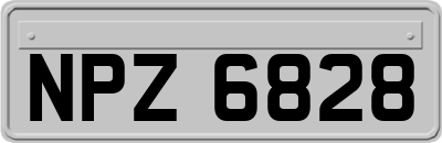 NPZ6828