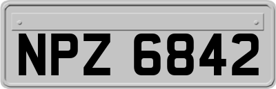 NPZ6842