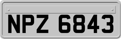 NPZ6843