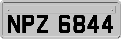 NPZ6844