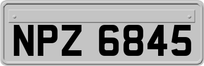 NPZ6845
