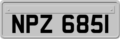 NPZ6851