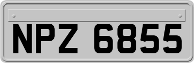 NPZ6855