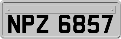 NPZ6857