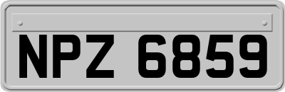 NPZ6859
