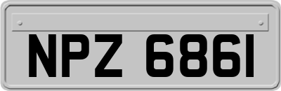 NPZ6861