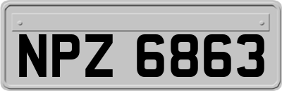 NPZ6863