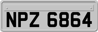 NPZ6864