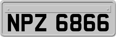 NPZ6866