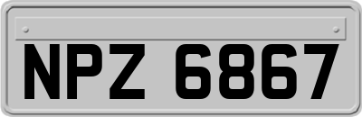 NPZ6867