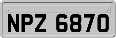 NPZ6870