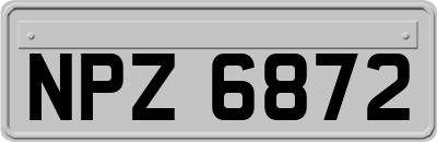 NPZ6872