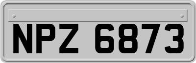 NPZ6873