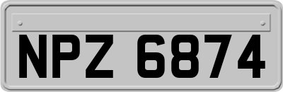 NPZ6874