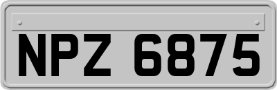 NPZ6875