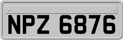 NPZ6876