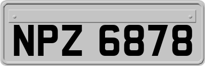 NPZ6878