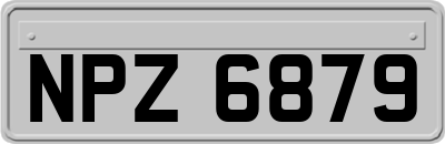 NPZ6879