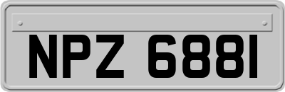 NPZ6881