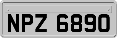 NPZ6890