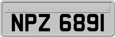 NPZ6891
