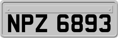NPZ6893