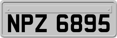 NPZ6895