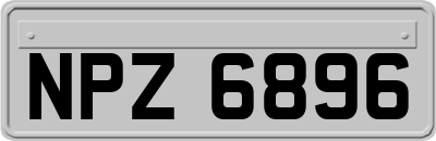 NPZ6896