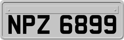 NPZ6899