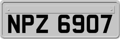NPZ6907