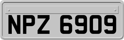 NPZ6909