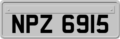 NPZ6915