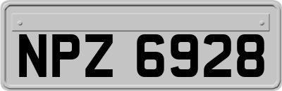 NPZ6928