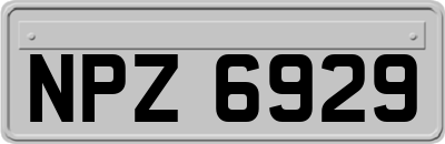 NPZ6929