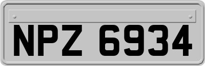 NPZ6934