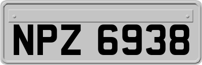 NPZ6938