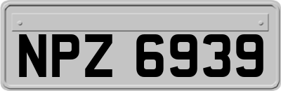 NPZ6939