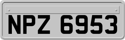 NPZ6953