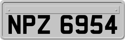 NPZ6954
