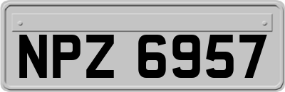 NPZ6957