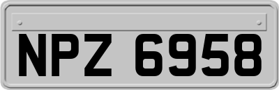 NPZ6958