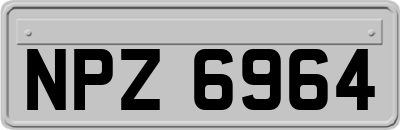 NPZ6964
