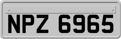 NPZ6965