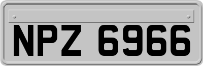 NPZ6966